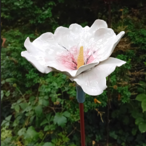 Agnes Avermaete - Hibiscus (Other)(Ceramic)